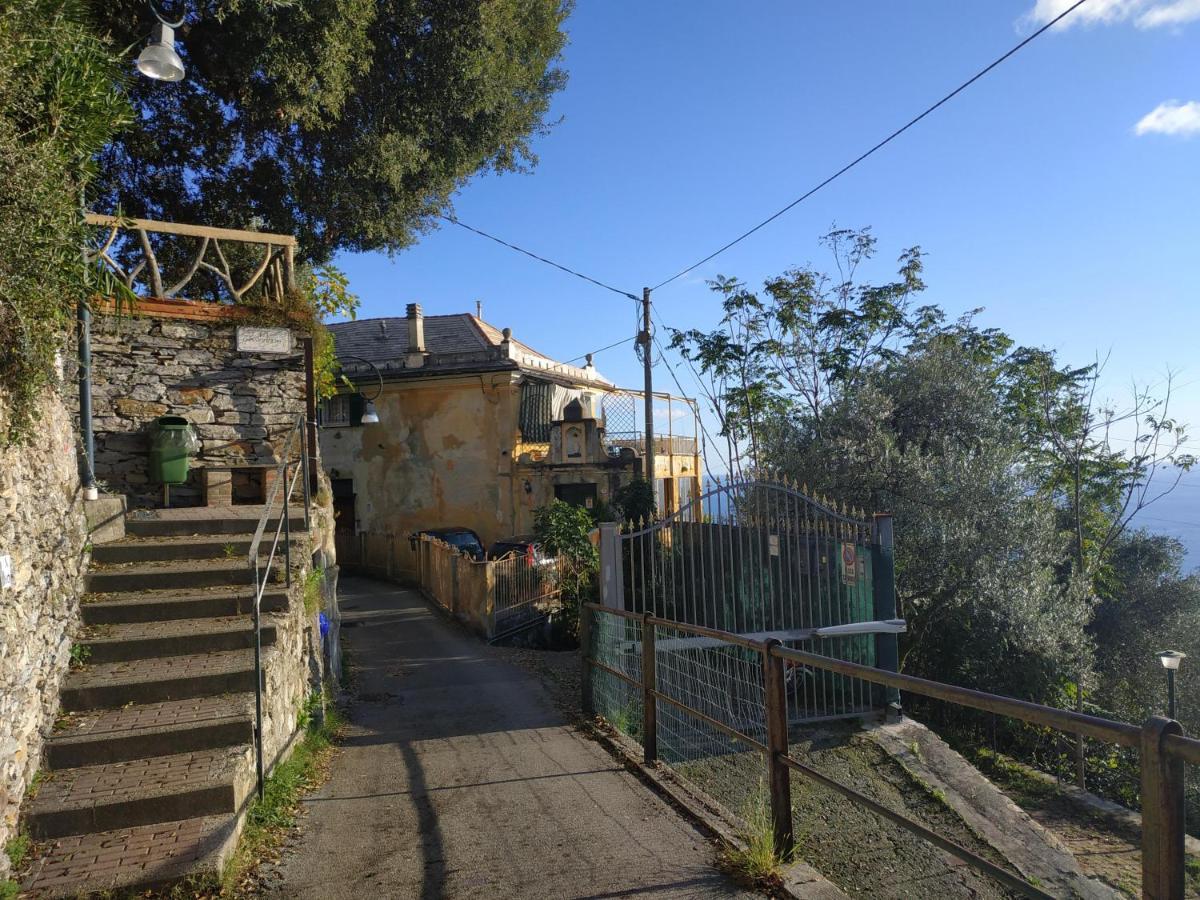 Апартаменты Casaviva - Ampio Trilocale Vista Mare Con Piscina - Pieve Alta Пьеве-Лигуре Экстерьер фото